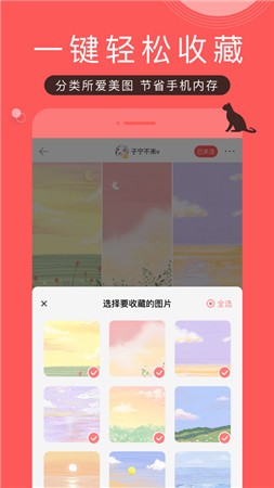 堆糖app下载最新版本