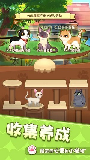 爱猫公社(预约)