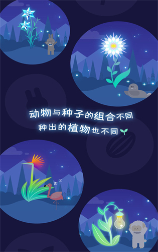 夜之森游戏