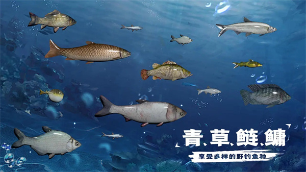 天天钓鱼水族馆鱼收益介绍