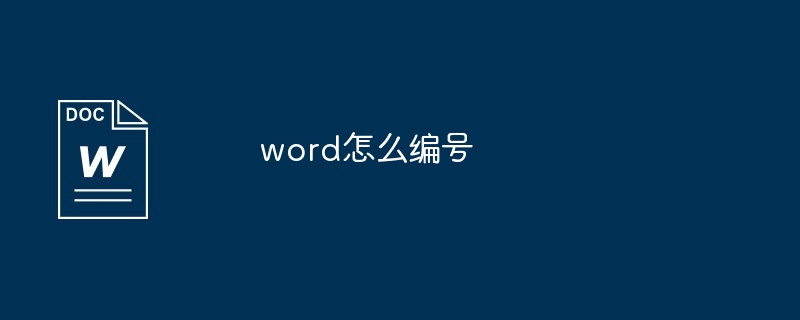 word怎么编号