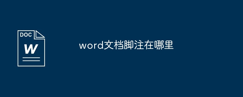 word文档脚注在哪里