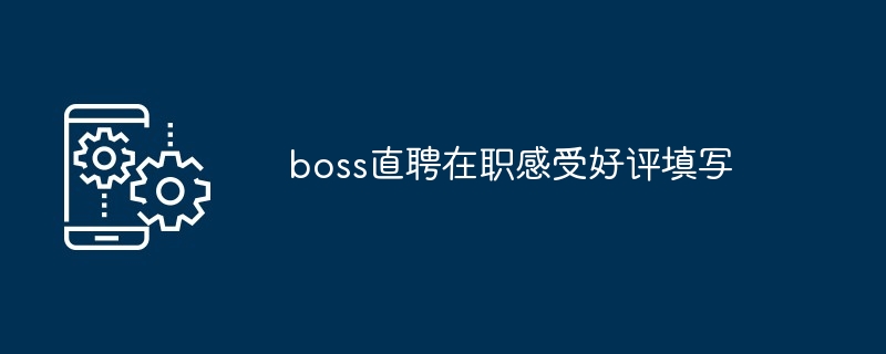 boss直聘在职感受好评填写