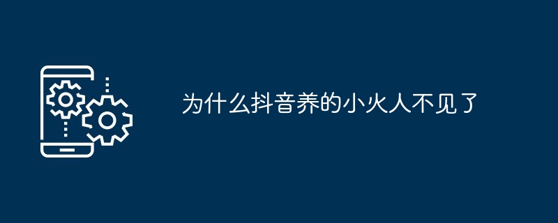 为什么抖音养的小火人不见了