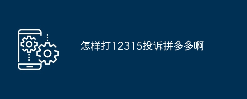 怎样打12315投诉拼多多啊