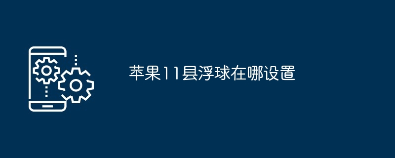 苹果11县浮球在哪设置