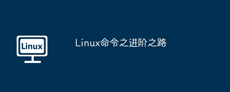 linux命令之进阶之路