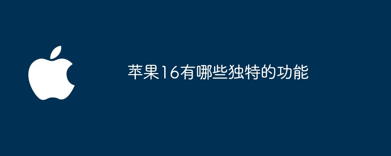 苹果16有哪些独特的功能