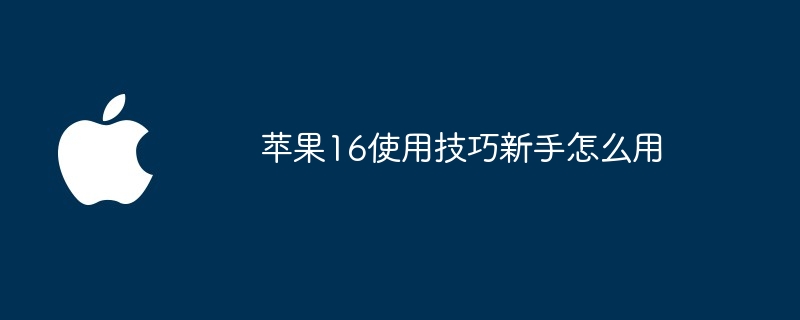 苹果16使用技巧新手怎么用