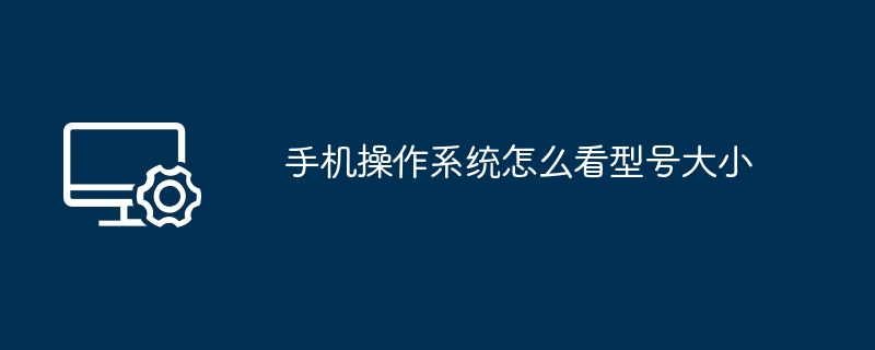 手机操作系统怎么看型号大小