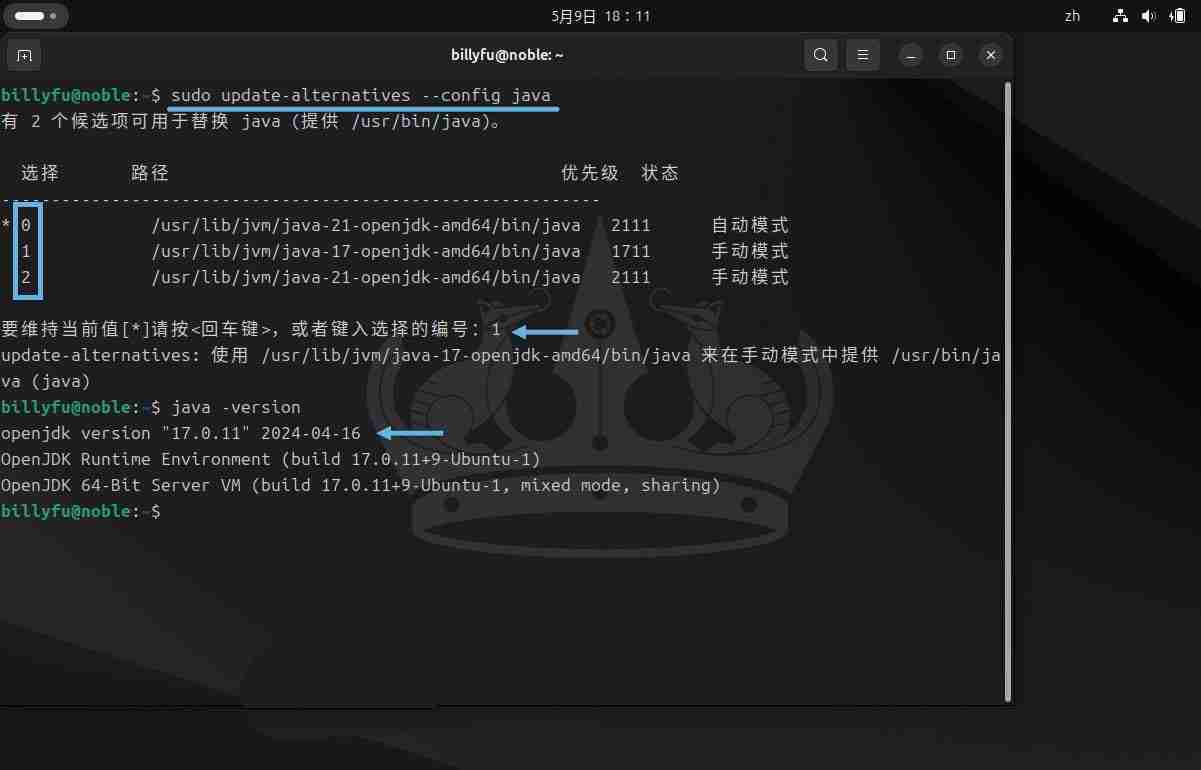 Ubuntu 24.04 LTS怎么安装和卸载Java?